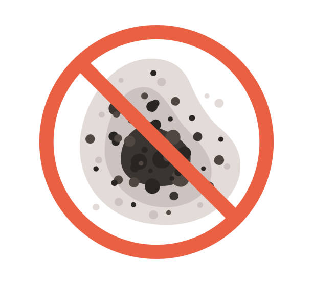 Best Black Mold Removal  in Mabank, TX