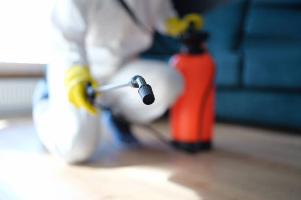 Best Asbestos and Lead Testing During Mold Inspection  in Mabank, TX
