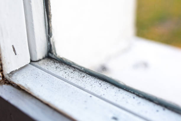 Best Airborne Mold Testing  in Mabank, TX
