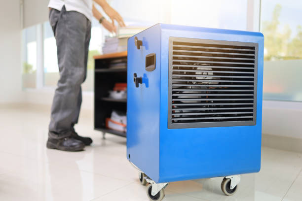 Best Mold Odor Removal Services  in Mabank, TX